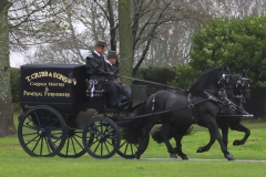 An entrant in the 2023 London Harness Horse Parade held at the South of England Showground in Ardingly, West Sussex, amidst driving rain. 10-Apr-2023. IMG_6024