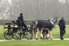 An entrant in the 2023 London Harness Horse Parade held at the South of England Showground in Ardingly, West Sussex, amidst driving rain. 10-Apr-2023. IMG_6032
