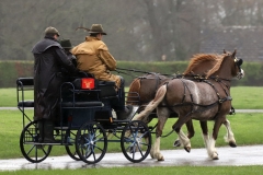 An entrant in the 2023 London Harness Horse Parade held at the South of England Showground in Ardingly, West Sussex, amidst driving rain. 10-Apr-2023. IMG_6044