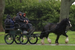 An entrant in the 2023 London Harness Horse Parade held at the South of England Showground in Ardingly, West Sussex, amidst driving rain. 10-Apr-2023. IMG_6047