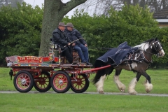 An entrant in the 2023 London Harness Horse Parade held at the South of England Showground in Ardingly, West Sussex, amidst driving rain. 10-Apr-2023. IMG_6054