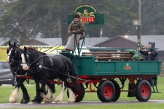 An entrant in the 2023 London Harness Horse Parade held at the South of England Showground in Ardingly, West Sussex, amidst driving rain. 10-Apr-2023. IMG_6060
