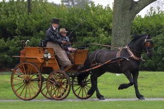 An entrant in the 2023 London Harness Horse Parade held at the South of England Showground in Ardingly, West Sussex, amidst driving rain. 10-Apr-2023. IMG_6067