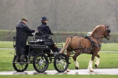 An entrant in the 2023 London Harness Horse Parade held at the South of England Showground in Ardingly, West Sussex, amidst driving rain. 10-Apr-2023. IMG_6076