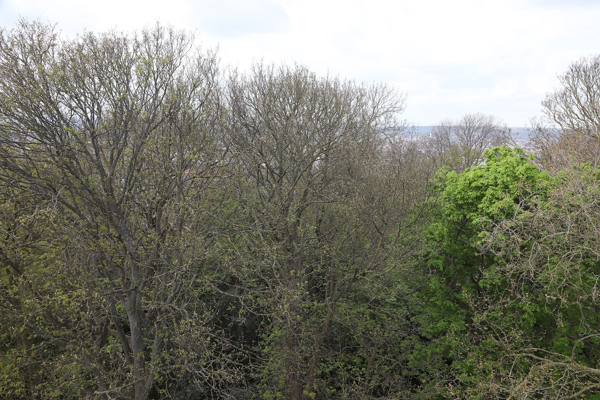 The view seen from the tower. St Mary’s Church, Harrow-on-the-Hill, London. 29-Apr-2023.