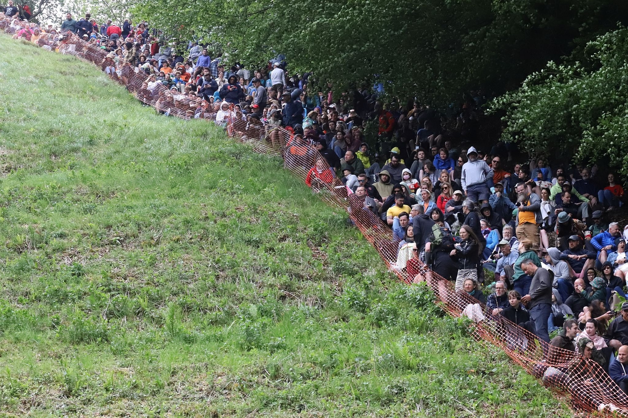 Crowds of spectators. Coopers Hill Cheese Rolling Race. 29-May-2023. Race downhill. Gloucestershire tradition.
