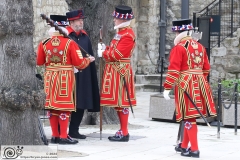 Royal Marines with Yeoman Warders (Beefeaters) at the Tower of London participating in the historic Ceremony of the Constable's Dues to present a barrel of wine. 14-Mar-2024.