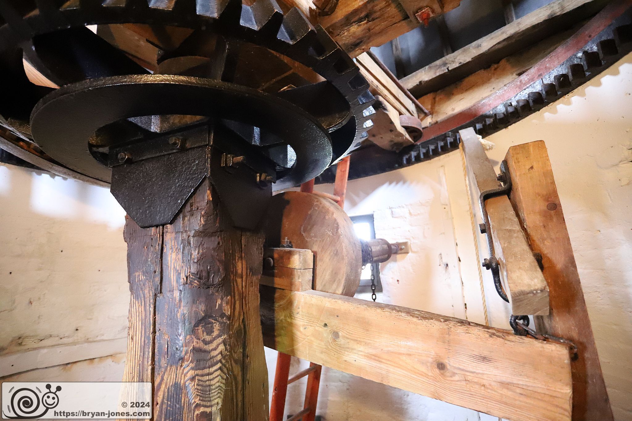 IMG_8619