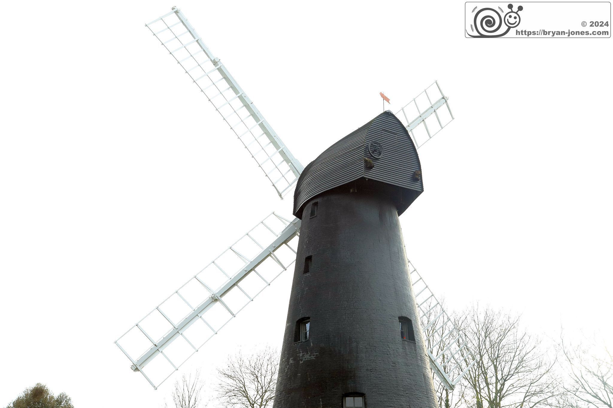 IMG_8726