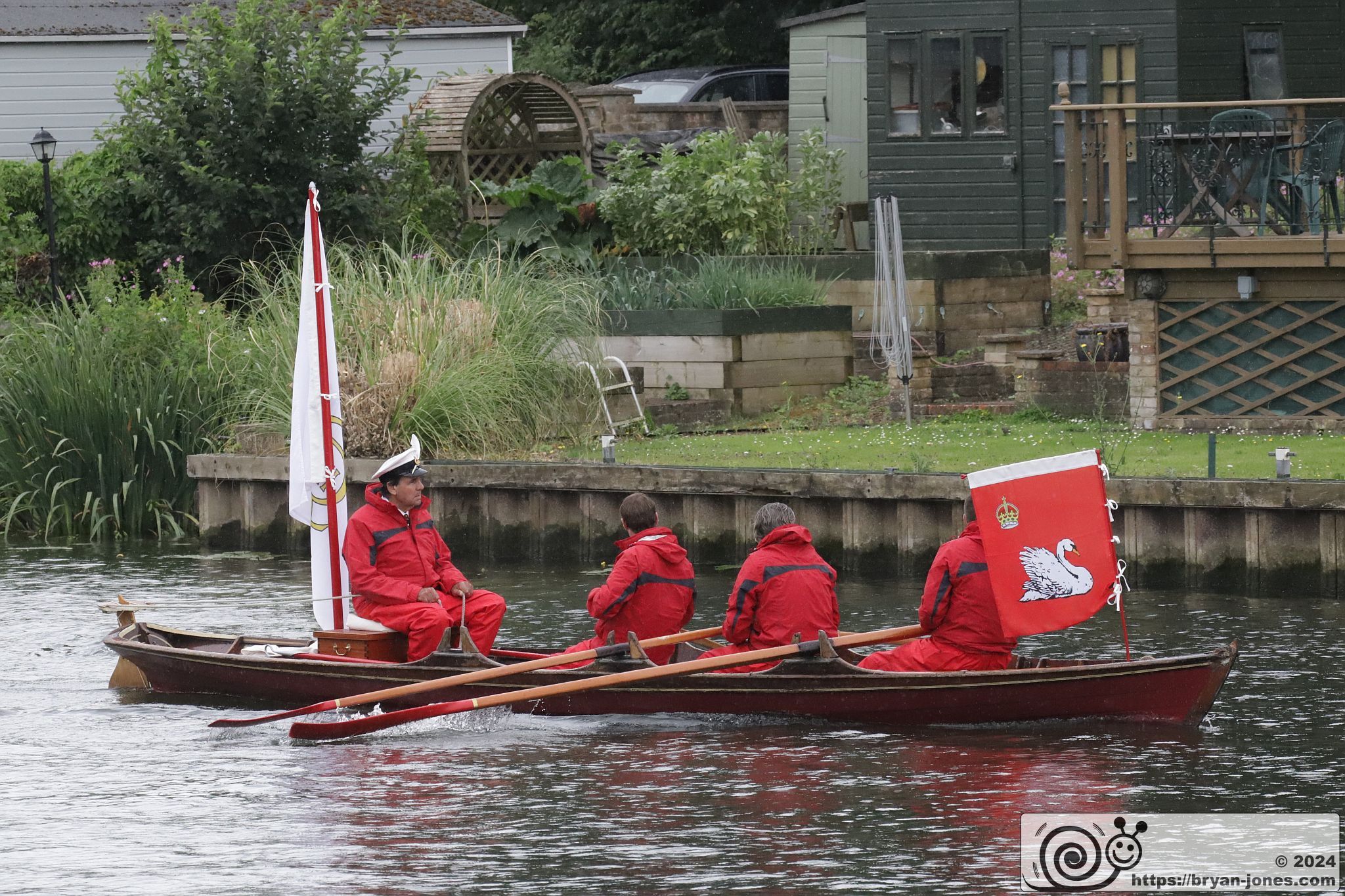 The ancient tradition of Swan Upping on the River Thames around Staines. 15-Jul-2024.