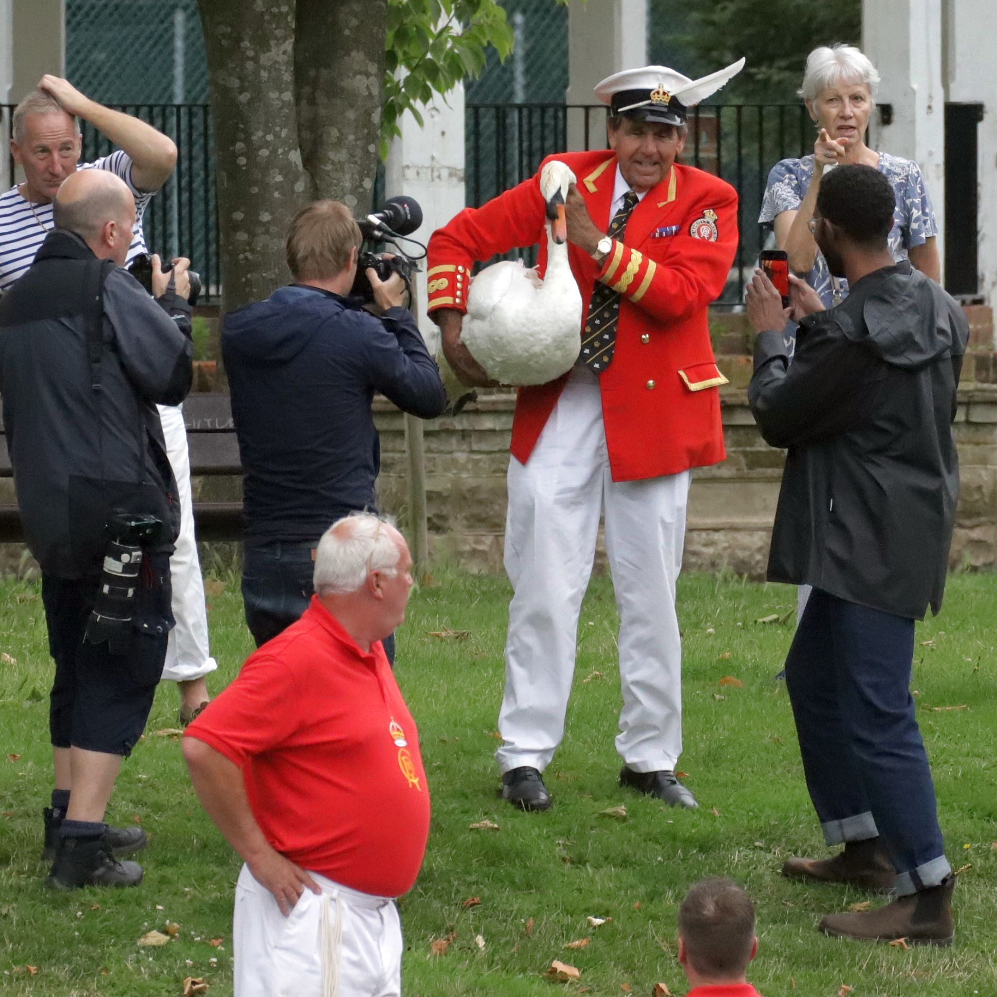 The ancient tradition of Swan Upping on the River Thames around Staines. 15-Jul-2024.
