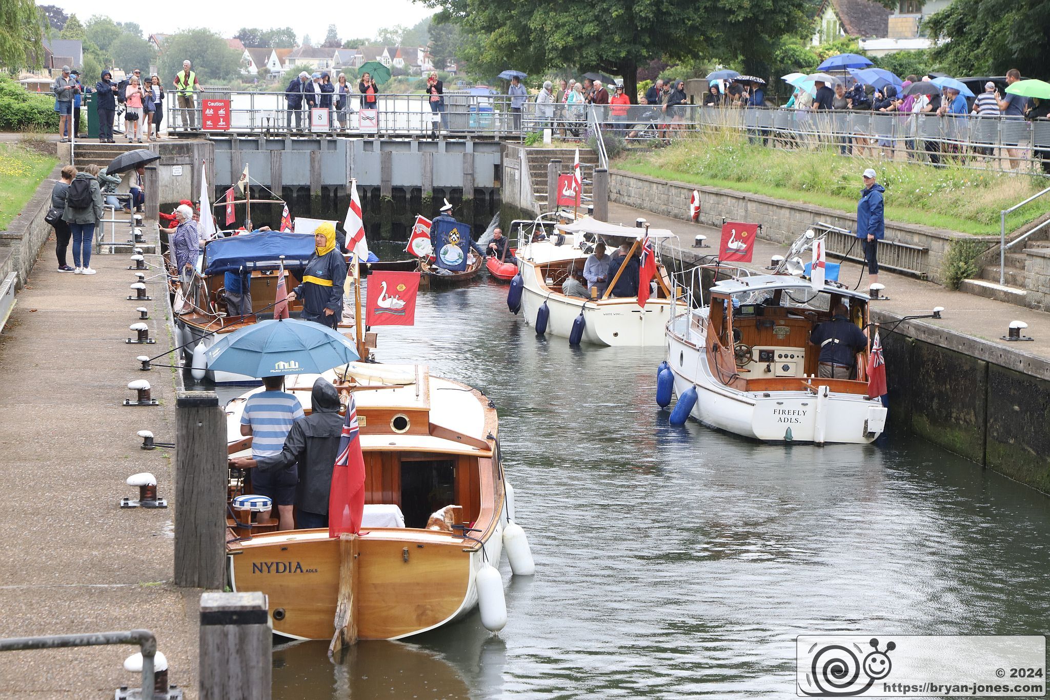 The ancient tradition of Swan Upping on the River Thames around Staines. 15-Jul-2024.