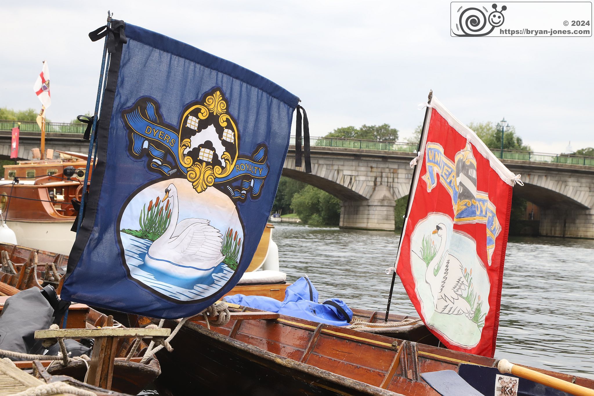 The ancient tradition of Swan Upping on the River Thames around Staines. 15-Jul-2024.