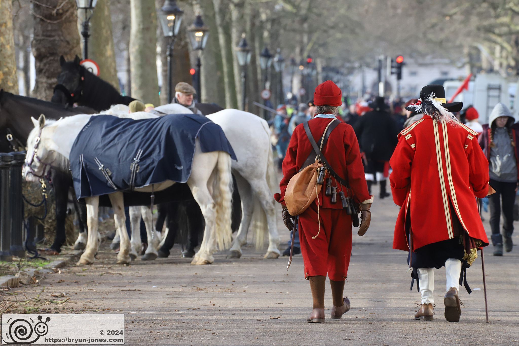 The King's Army of the English Civil War Society parade for the 2024 commemoration of the Horrible Murder (Execution) of King Charles I in 1649. The parade goes from The Mall to Horse Guards where a small detachment goes through to the Banqueting House in Whitehall to lay a wreath. Photo taken 28-Jan-2024 by Bryan Jones.