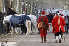 The King's Army of the English Civil War Society parade for the 2024 commemoration of the Horrible Murder (Execution) of King Charles I in 1649. The parade goes from The Mall to Horse Guards where a small detachment goes through to the Banqueting House in Whitehall to lay a wreath. Photo taken 28-Jan-2024 by Bryan Jones.