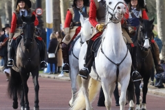 The King's Army of the English Civil War Society parade for the 2024 commemoration of the Horrible Murder (Execution) of King Charles I in 1649. The parade goes from The Mall to Horse Guards where a small detachment goes through to the Banqueting House in Whitehall to lay a wreath. Photo taken 28-Jan-2024 by Bryan Jones.