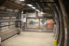 IMG_0781