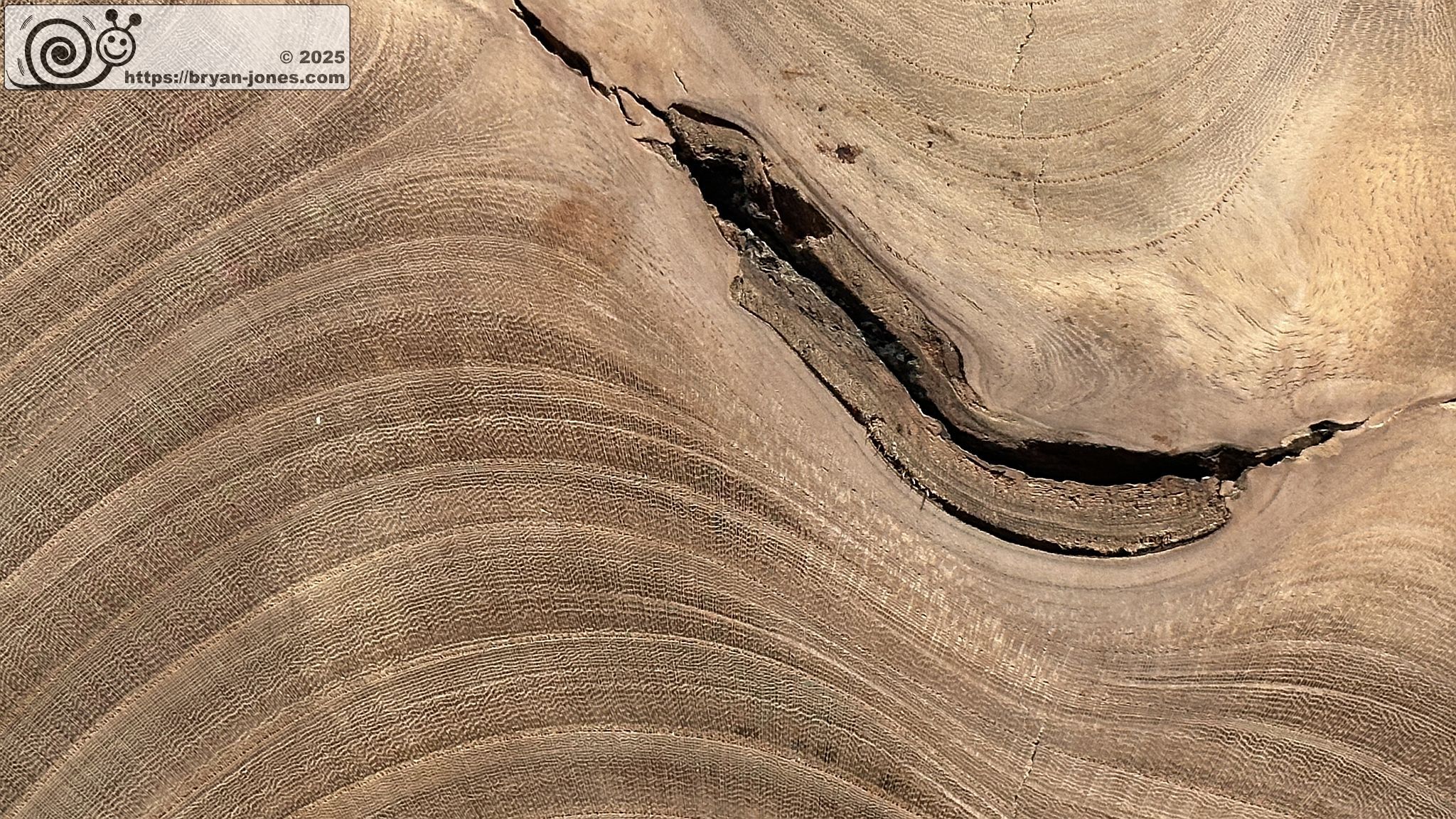 Wood grain. Japan House, London. 11-Mar-2025.