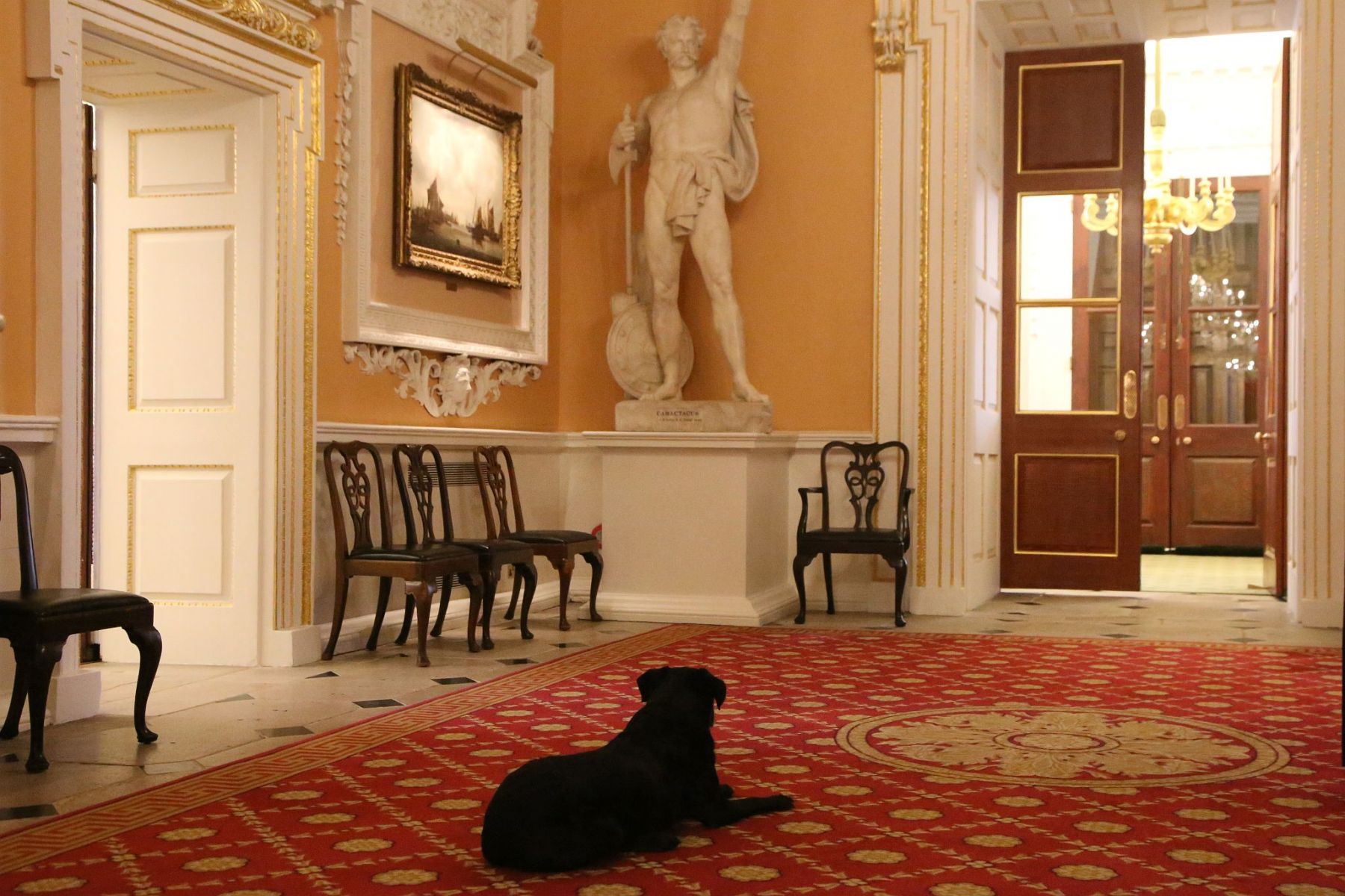 The Lord Mayor's dog lying down at The Mansion House, home to the Lord Mayor of the City of London.