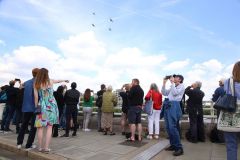 IMG_7858