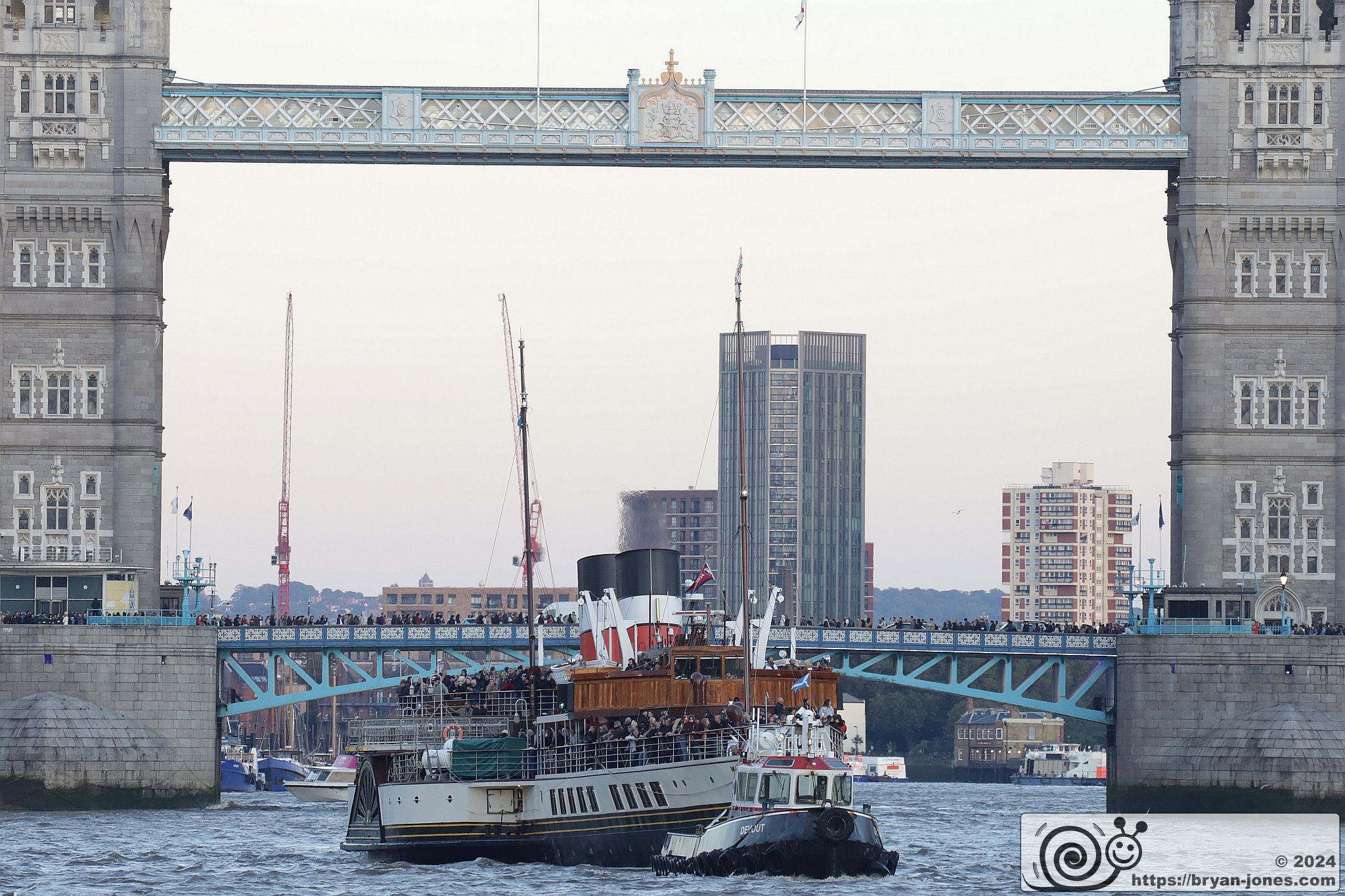 Waverley in the Pool of London with Tower Bridge. 05-Oct-2024