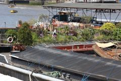 Houseboats and gardens at Tower Bridge moorings on the River Thames in London. Taken on 19-May-2018 during London Open Gardens Weekend. House boat.