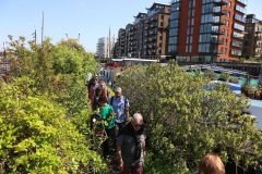 Houseboats and gardens at Tower Bridge moorings on the River Thames in London. Taken on 19-May-2018 during London Open Gardens Weekend. House boat.