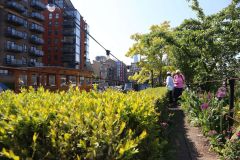 Houseboats and gardens at Tower Bridge moorings on the River Thames in London. Taken on 19-May-2018 during London Open Gardens Weekend. House boat.