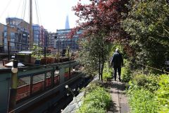 Houseboats and gardens at Tower Bridge moorings on the River Thames in London. Taken on 19-May-2018 during London Open Gardens Weekend. House boat.