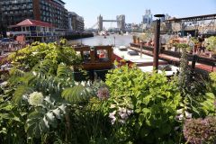 Houseboats and gardens at Tower Bridge moorings on the River Thames in London. Taken on 19-May-2018 during London Open Gardens Weekend. House boat.