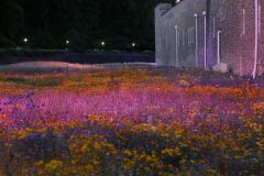 IMG_0526
